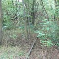 Natur-Park Schöneberger Südgelände w Berlinie #Berlin