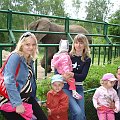 WYCIECZKA DO ZOO Z HANIĄ PRZEMKIEM SZYMKIEM I LIVIĄ
