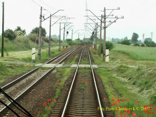 Widok z pociągu papieskiego na szlak w kierunku Poznania