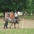 jazda konna dla dziec poza ośrodkiemi i spotkania na terenie ośrodka monar Wyszków #monar #dzieci #szkolenia #konie