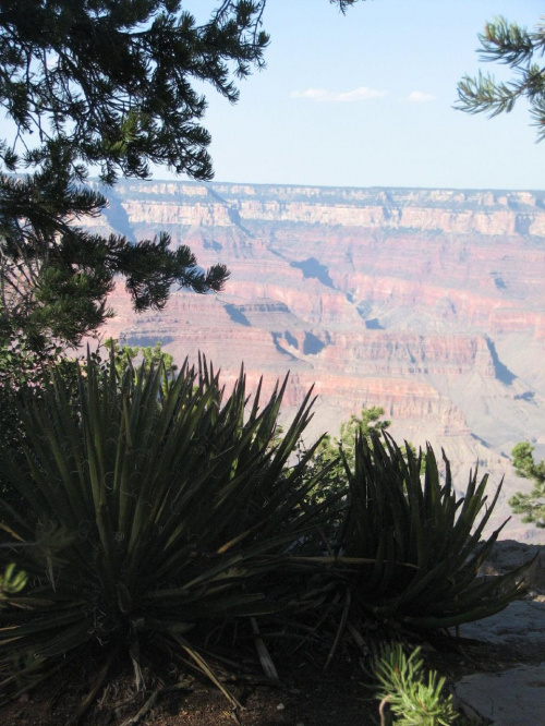 Grand Canyon (South Rim) #GrandCanyon #CudaNatury
