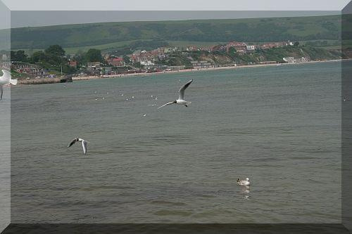 Swanage