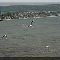 Swanage