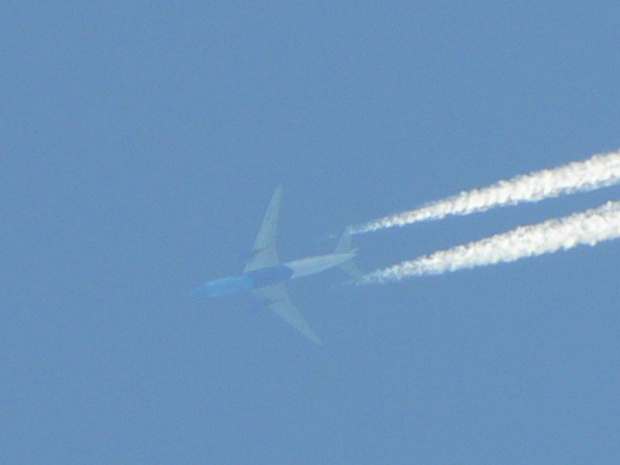 Malyasian Boeing 777 in HELICONIA paint