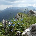 #tatry #gory #szlaki