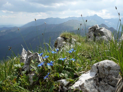 #tatry #gory #szlaki