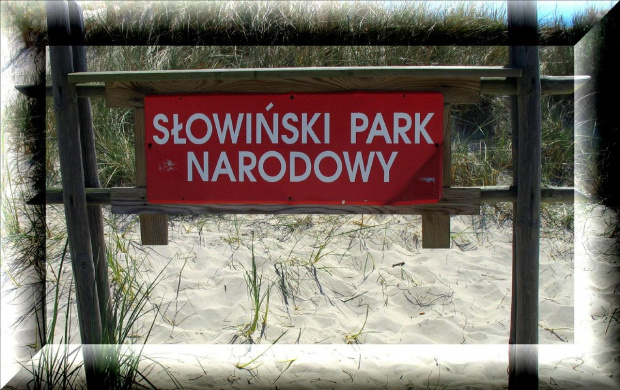 Łeba-wydmy #SłowińskiParkNarodowy #Łeba #wydmy #piaski #morze #plaża