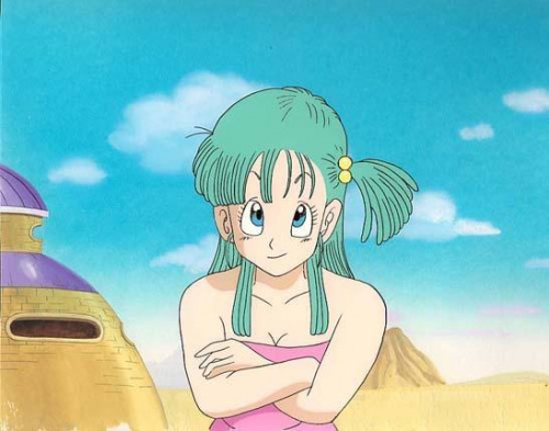 bulma2