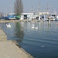 gdynia piekne miasto