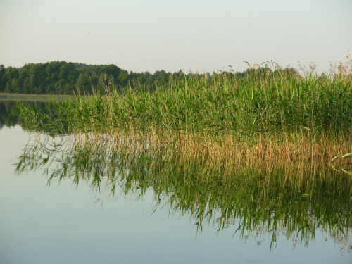 jezioro Hołny