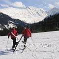 Zuberec - marzec 2006 - narty w Oravicy oraz w Zubercu i ME w psich zaprzegach #Zuberec #Oravice #Tatry #Narty #Słowacja #husky