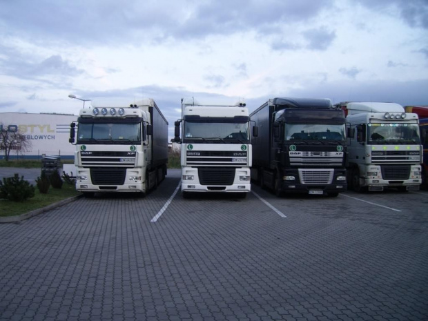 3x DAF 95XF #DAFSudWest