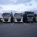 3x DAF 95XF #DAFSudWest