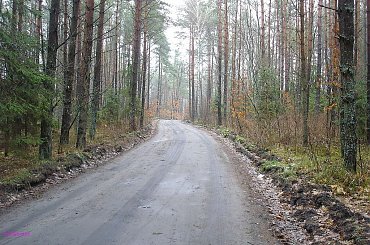 Puszcza Piska - okolice Pisza #PuszczaPiska #Rower #Remes #Pisz #Mazury