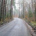 Puszcza Piska - okolice Pisza #PuszczaPiska #Rower #Remes #Pisz #Mazury