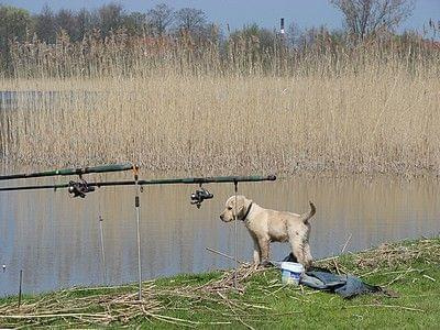 Zabrali mnie na ryby, a to ja musiałem pilnować wędek!