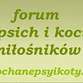 logo dla forum www.kochanepsyikoty.fora.pl