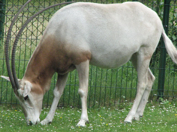 Zdjęcia z wycieczki. #zwierzęta