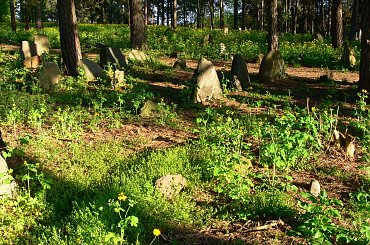 Cmentarz muzułmański i meczet w Kruszynianach #Kruszyniany #meczet