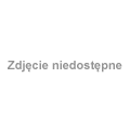 Nasturcja na kamieniu