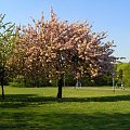 Park Kasprowicza