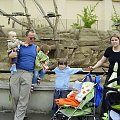 znowu mnie brak-stoje z drugiej strony obiektywu