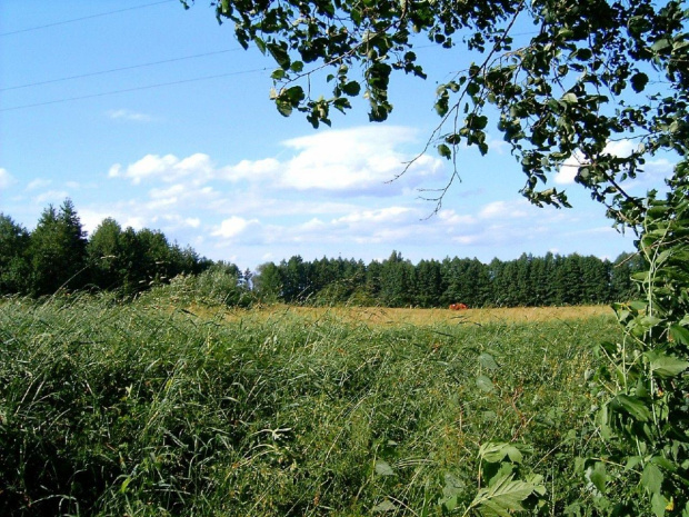 Bialoruś ...rzeczka i widoki