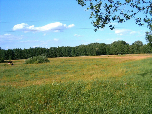 Bialoruś ...rzeczka i widoki