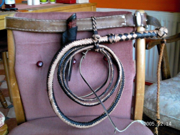 #bullwhip